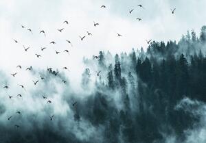 Fototapet - Păsări în ceață (152,5x104 cm)
