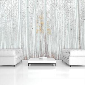 Fototapet - Pădure - albă (152,5x104 cm)