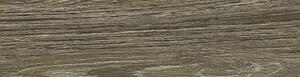 Gresie exterior / interior porțelantă glazurată Jatoba maro 15,5x60,5 cm
