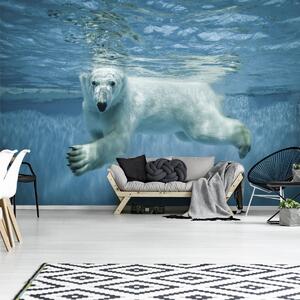 Fototapet - Ursul polar (152,5x104 cm)