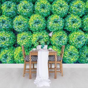 Fototapet - Salată (152,5x104 cm)