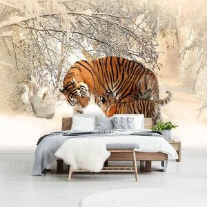 Fototapet - Tigri pe zăpadă (254x184 cm)