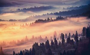 Fototapet - Pădurea în ceață (152,5x104 cm)