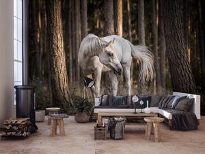 Fototapet - Calul alb în pădure (254x184 cm)