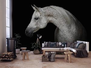 Fototapet - Calul alb (254x184 cm)