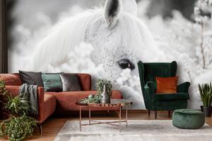Fototapet - Calul alb pe zăpadă (152,5x104 cm)
