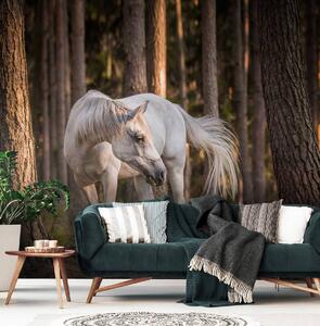 Fototapet - Calul alb în pădure (152,5x104 cm)