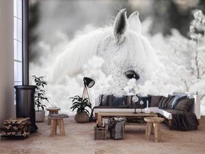 Fototapet - Calul alb pe zăpadă (152,5x104 cm)