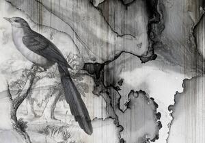 Fototapet - Pasărea - cerneala vărsată (254x184 cm)