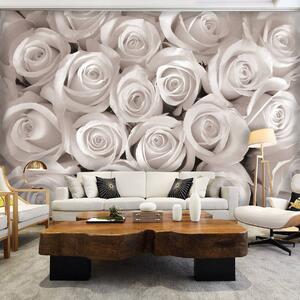 Fototapet - Trandafirii albi (152,5x104 cm)