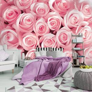 Fototapet - Trandafirii roz (254x184 cm)