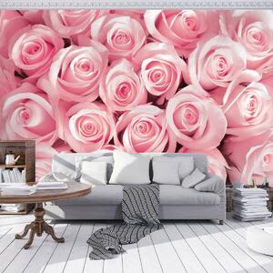 Fototapet - Trandafirii roz (152,5x104 cm)