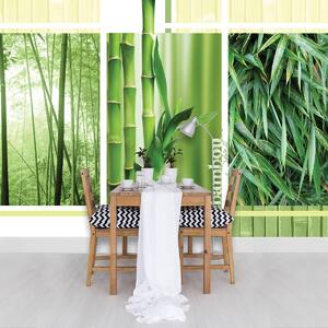 Fototapet - Bambus (152,5x104 cm)