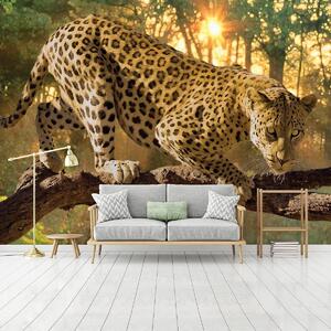 Fototapet - Jaguar Forest Woods (152,5x104 cm)