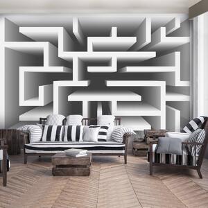 Fototapet - 3D labirint (152,5x104 cm)