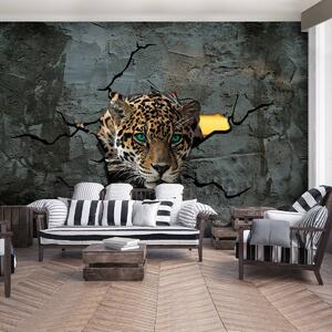 Fototapet - Jaguar după zid (152,5x104 cm)