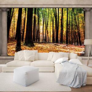 Fototapet - Pădure de toamnă (152,5x104 cm)