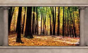 Fototapet - Pădure de toamnă (254x184 cm)