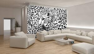 Fototapet - Albnegru gepard (254x184 cm)