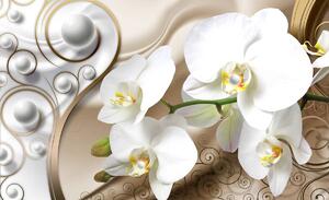 Fototapet - Orhidee albă (254x184 cm)
