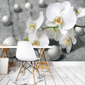 Fototapet - Orhidee albă (254x184 cm)