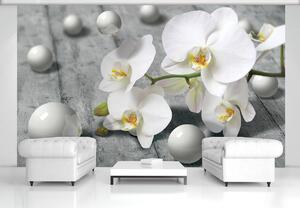 Fototapet - Orhidee albă (152,5x104 cm)