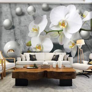 Fototapet - Orhidee albă (152,5x104 cm)
