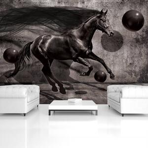 Fototapet - Calul negru (254x184 cm)