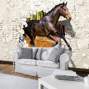 Fototapet - Calul a sărit din perete 3D (254x184 cm)