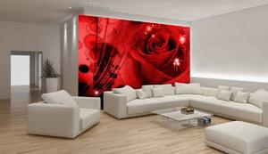 Fototapet - Trandafir roșu (254x184 cm)