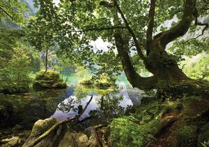Fototapet - Păscărie ascunsă în pădure (152,5x104 cm)
