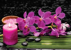 Fototapet - Orhidee roz (152,5x104 cm)