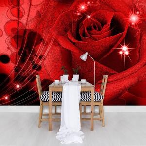 Fototapet - Trandafir roșu (254x184 cm)