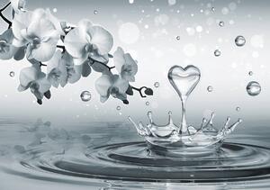Fototapet - Inima pe apă și orhidee (254x184 cm)