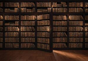 Fototapet - Biblioteca plină de cărți (152,5x104 cm)