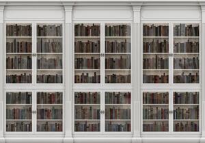 Fototapet - Biblioteca plină de cărți (254x184 cm)