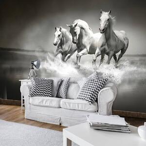 Fototapet - Unicorn (254x184 cm)