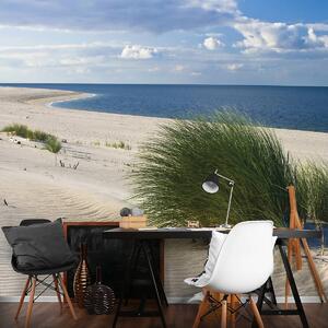 Fototapet - Plaja Mării Nordice (254x184 cm)