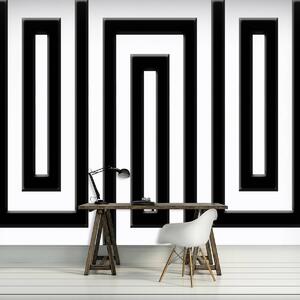 Fototapet - Labirintul alb negru (254x184 cm)