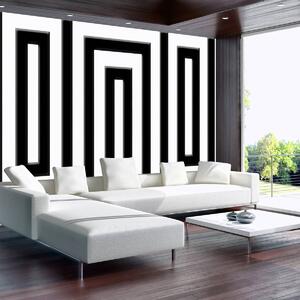 Fototapet - Labirintul alb negru (152,5x104 cm)