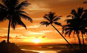 Fototapet - Apus de soare în tropi (254x184 cm)