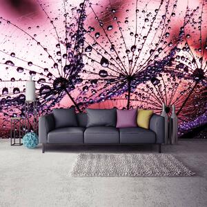 Fototapet - Păpădii - abstracte - violete (152,5x104 cm)