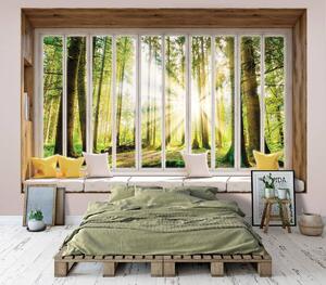 Fototapet - Privire din geam spre pădure (152,5x104 cm)