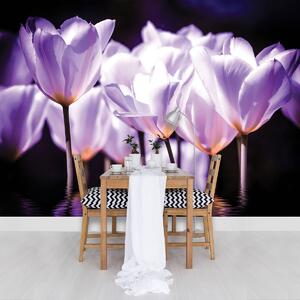 Fototapet - Flori - tonul violet (152,5x104 cm)
