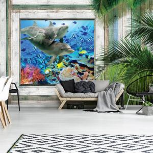 Fototapet - Delfinii și peștii sub mare (152,5x104 cm)