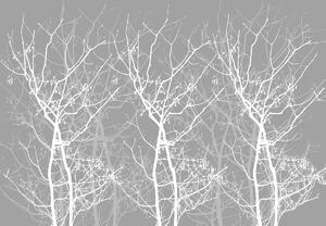 Fototapet - Conturul copacului (254x184 cm)