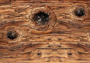 Fototapet - Detaliu de lemn (152,5x104 cm)