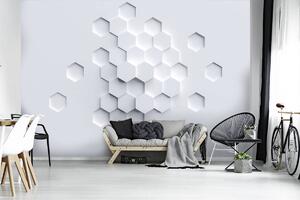 Fototapet - Hexagon (254x184 cm)