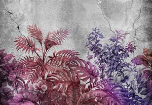 Fototapet - Plante pe beton - violete (152,5x104 cm)