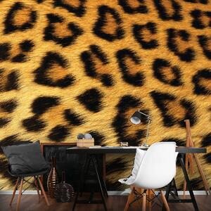 Fototapet - Fibre de păr de leopard (152,5x104 cm)